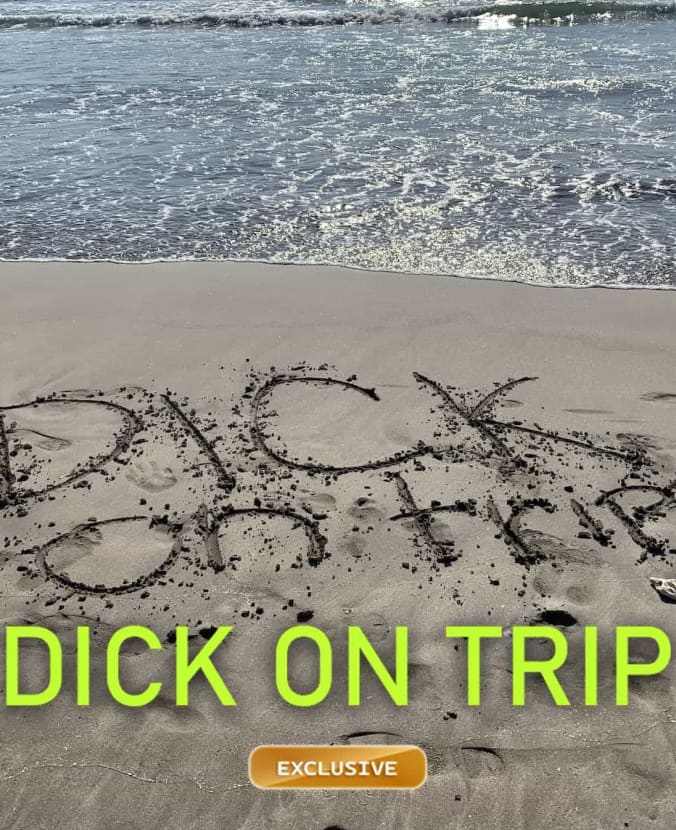 Dick în călătorie